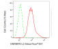 KD-Validated Anti-HNRNPA1L2 Rabbit Monoclonal Antibody